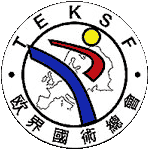 Logo TEKSF